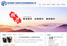 赤水城市开发投资集团有限公司